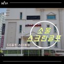 소울스크린골프 네이버블로그