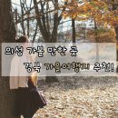 의성학하고택 | 의성 가볼만한곳 언택트 경북 당일치기 여행 나만 따라와!