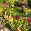 무열대유치원 이미지