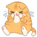 (주)비원비 이미지