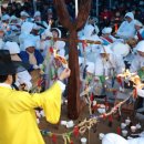 디딜방아 이미지