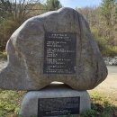 오대산 산채정식 이미지