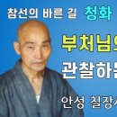 실상관 (정통선의 향훈) 이미지