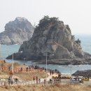 부산갈메기 이미지