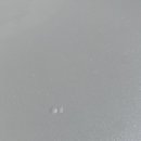 카토피아 이미지