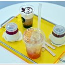 코타제주 이미지