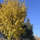 비석1길 | 인왕산 등산초보 코스 추천 / 등산하고 먹는 더덕 막걸리가 최고 경복궁역 맛집 추천 심산애