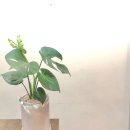 성산구청 이미지