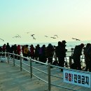 별빛뜨락 Daum카페