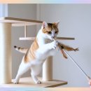 강아지 보호센터 이미지