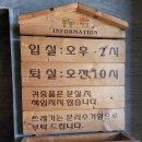 풍경채펜션 | 울릉도 숙소: 저동항 근처 오션뷰 &#34;풍경채펜션&#34; 후기