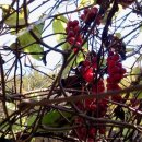 유경농장 이미지