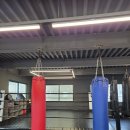 쿠마복싱짐 이미지