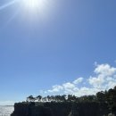 대포칼제비 이미지