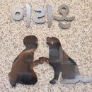 이리온 동물병원 | 이리온 동물병원 강남 애견 카페 호텔 미용 솔직 후기!