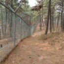 한일초등학교 이미지