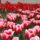 순천향대학교부천병원 이미지