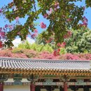향교주유소 네이버블로그