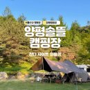 키즈캠핑장 경기도캠핑장추천 양평 솔뜰캠핑장