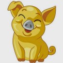 황금 Daum카페