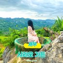 행자농장 | 세부 시라오 가든 완벽 가이드｜입장료·이용시간·위치·이동방법 총정리