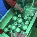 밥차 | [봉사활동] 경북 안동 사랑의 밥차 봉사활동 후기!!