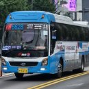 수정화물 이미지