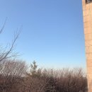 전촌솔밭해수욕장 이미지