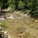 숲과계곡속으로 이미지