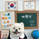 까까멍멍 이미지