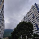 의사이야기부동산중개 이미지