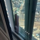 용인동백호수공원 | 용인 동백호수공원 동문디이스트 아파트 외창 청소 후기 - 셀프 청소 실패 후 문의