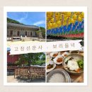 고창 선운사 후기 | 주차·생태숲 산책·보리들녘 산채비빔밥 고창 가볼만한곳 코스