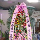 진도서초등학교 이미지
