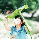 살리펜션 | 폭염 대비 응급처치 가이드, 열사병·열탈진 증상과 대처법 완벽 정리