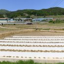 정관농장 이미지