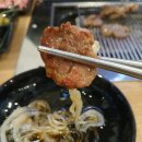 풍홍림양고기 | 청주 산남동 양갈비 풍홍림양고기 방문 후기