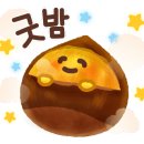 명상요가(저녁) 이미지