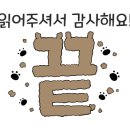 펫맘 이미지