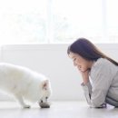 모두약국 이미지