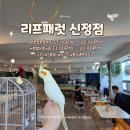 앵무새둥지 | 서울 목동 앵무새카페 리프패럿 신정점 이색데이트코스 추천 가볼만한곳 찐후기 주차정보