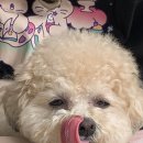 냐만 아는데 | [소사 음식점] 냐만아는데 : 피자&amp;파스타 솔직 후기