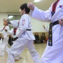 예사랑태권도 이미지