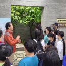 평창 우통수 이미지