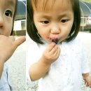 평화농장3 이미지