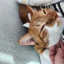 에이펙스 복싱클럽 이미지