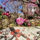 주암댐 전망대 이미지