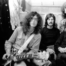 제플린실용음악학원 이미지