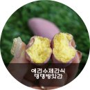 댕댕방앗간 네이버블로그