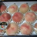 농부의딸 이미지